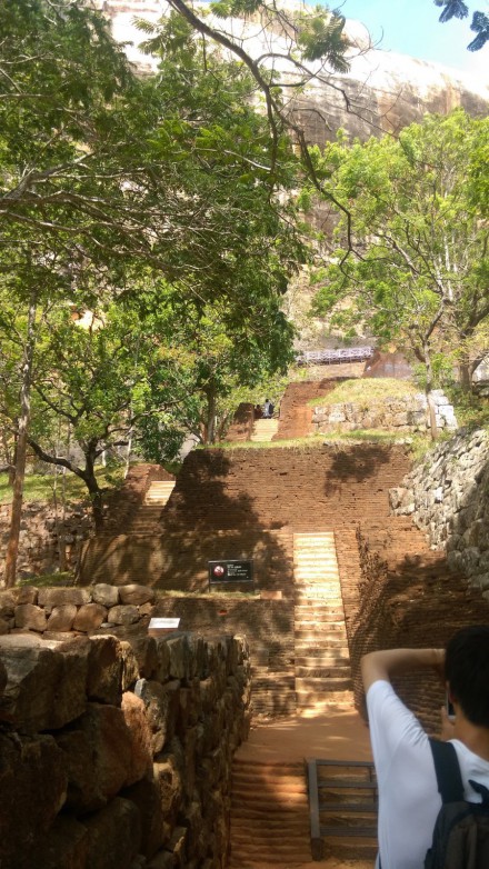 IMAG0863