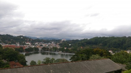 IMAG0939