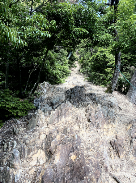 Hiking Trail