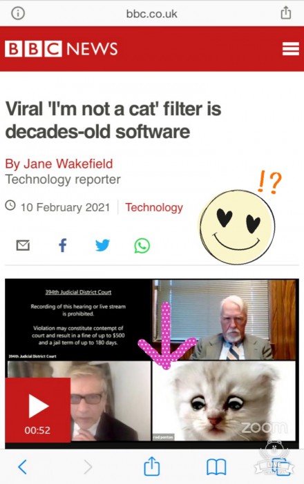 catfilter