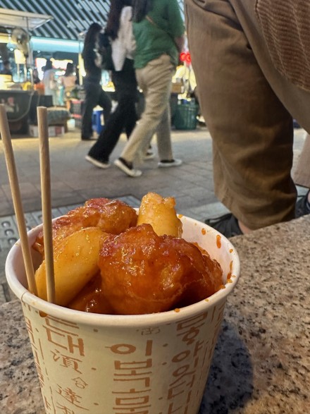 chicken toppogi