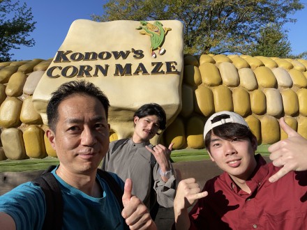 corn maze