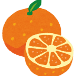 fruit_orange2