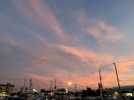 image_50356225