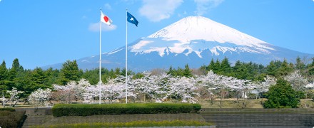 img_main01