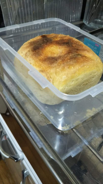 peasant bread