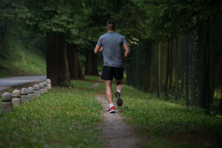 Young Man Running In Wooded Forest Area - Training And Exercising For Trail Run Marathon Endurance - Fitness Healthy Lifestyle Concept