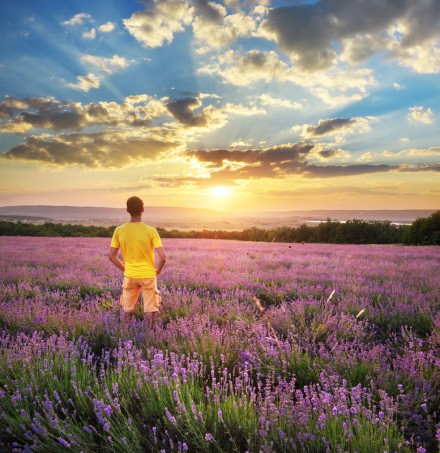 Man in meadow of lavender. Emotional scene.