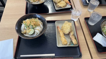 udon